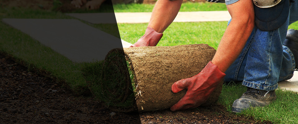 Bensenville Landscapers